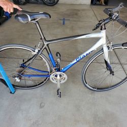 Giant Road Bike (Size MEDIUM)