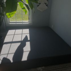 Tuft and Needle Mattress - King