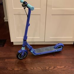 Ninebot Electric Scooter