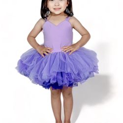 Aritutus Lilac Ombré Tutu