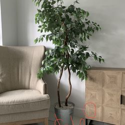 Faux Plant