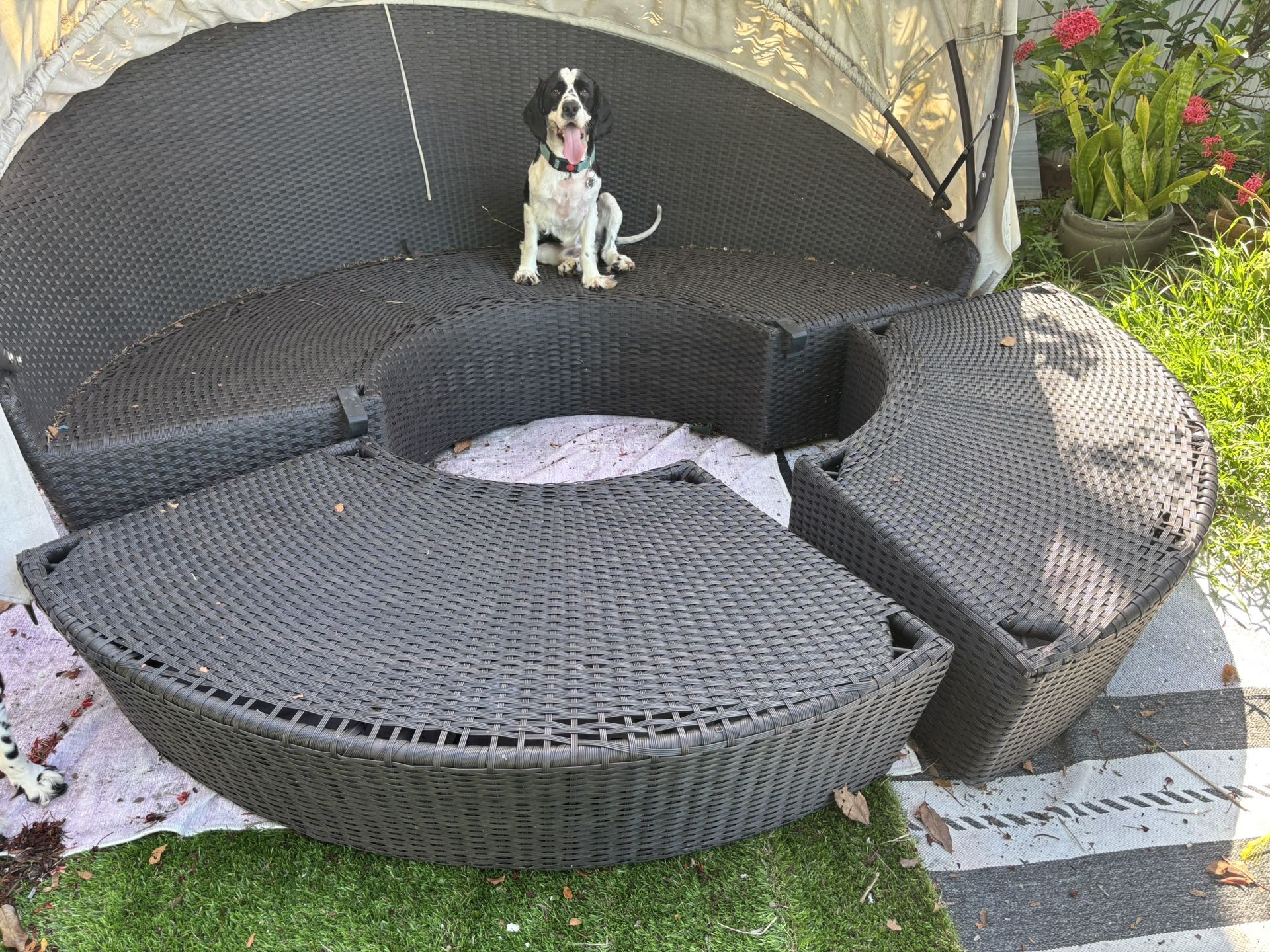COSTWAY Patio Round Daybed with Retractable Canopy, Wicker Furniture Sectional Couch with Separate Cushioned Seats, Adjustable Table Top, Patio Rattan