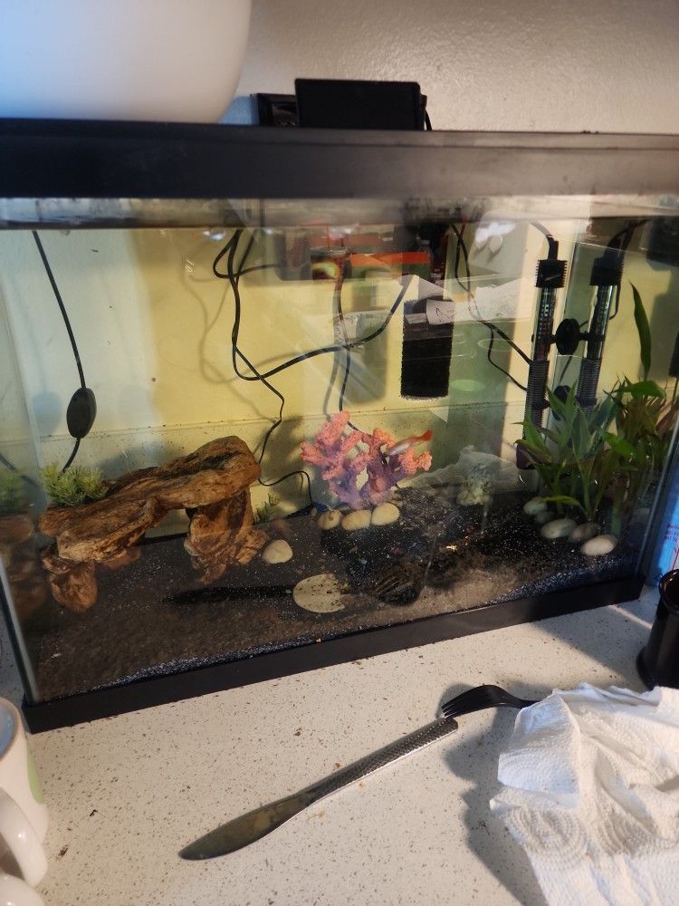 20 Gallons Fish Tank