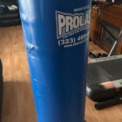Punching Bag!