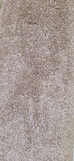 New Carpet Remnant
