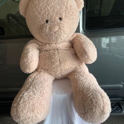 Big teddy bear