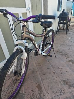 Bicycle