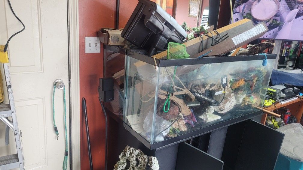 I have 55 gallon fish tank I have 2 of them I am letting them go For $225 And a lot of fish stuff and fish stand to go with it