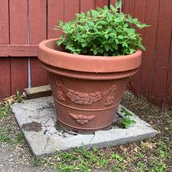  2 LARGE PLANT POTs