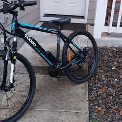 Googo ebike