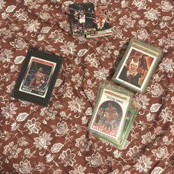 Scottie Pippen Card Lot