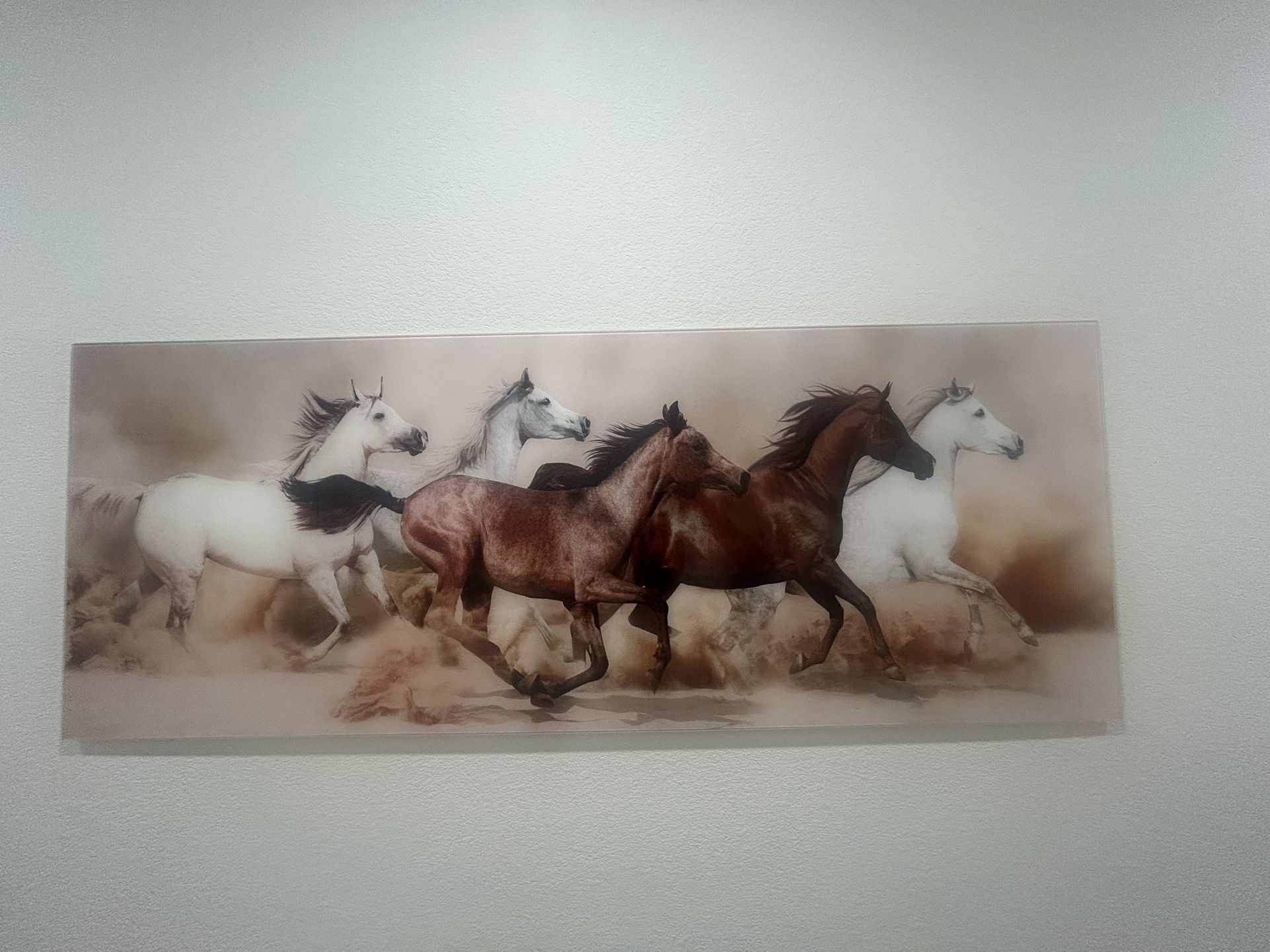 Wall Art -Glass Wall Art- Running Horses