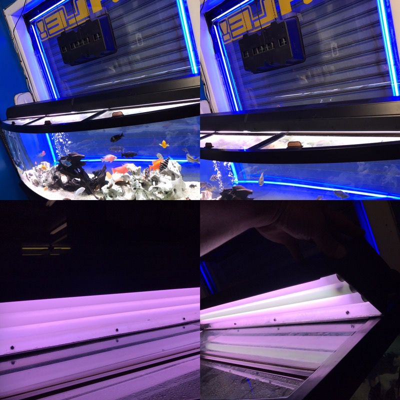 2x 36" fluorescent lights with triple bulbs in each light for a 6 foot long fish tank $100