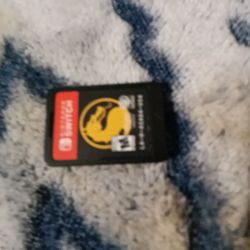 Nintendo Switch Game 