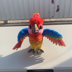 Real Live Pet Parrot