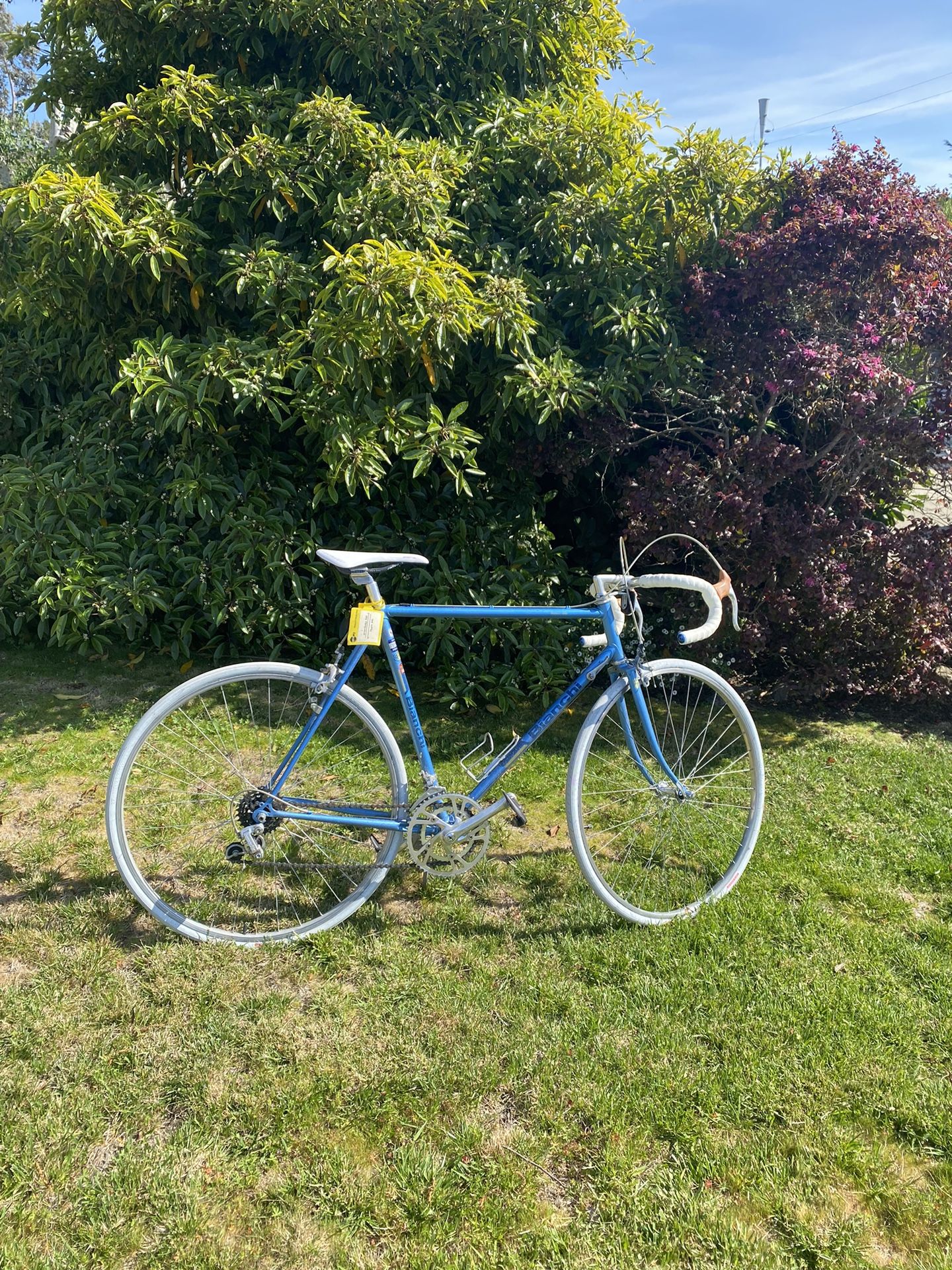 Vintage Bianchi Road Bike