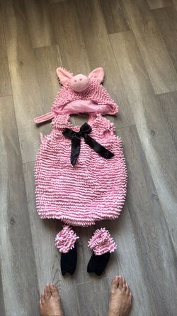 Pig costume size 5t