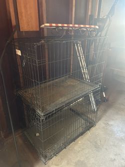 large kennels