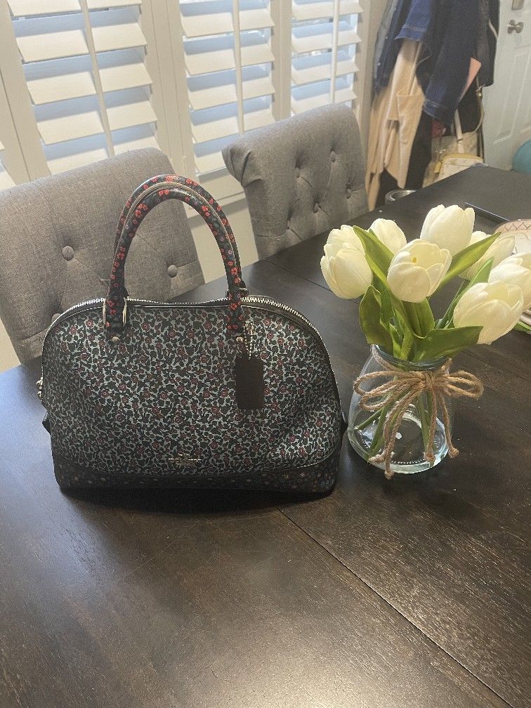 Coach Purse and Clutch