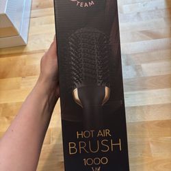 Brand New Blow Dry Brush 