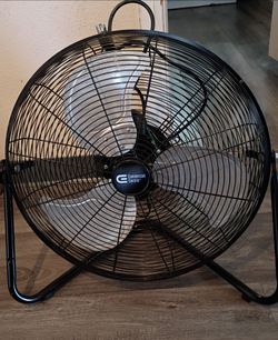 Fan
