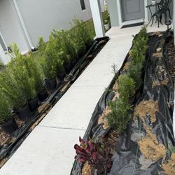 Let Us Revamp Your Flower Beds 🌴💐🌼🌹