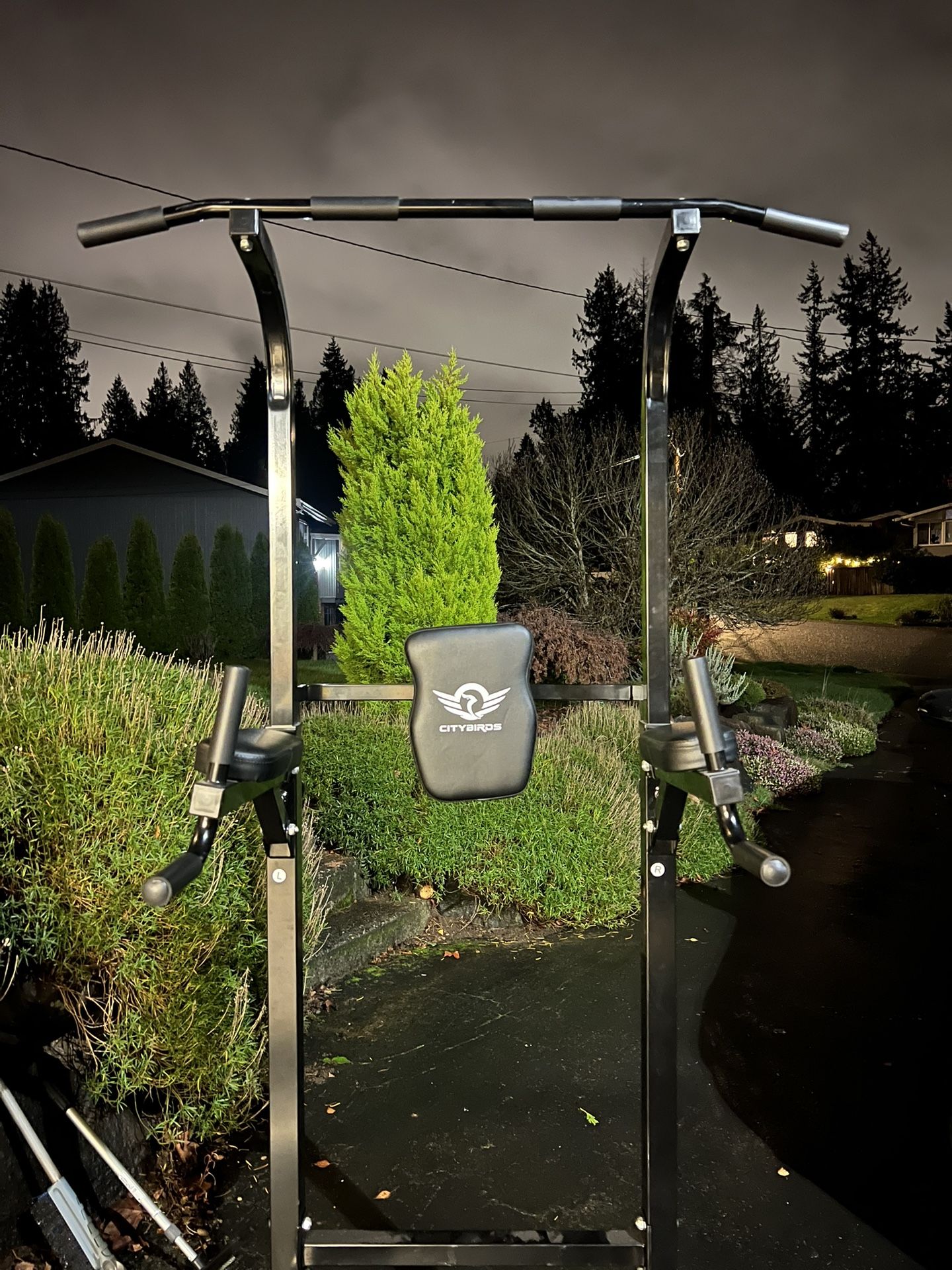 Home Gym Multipurpose Pull Up Bar / Dip / Chin Up Equipment 