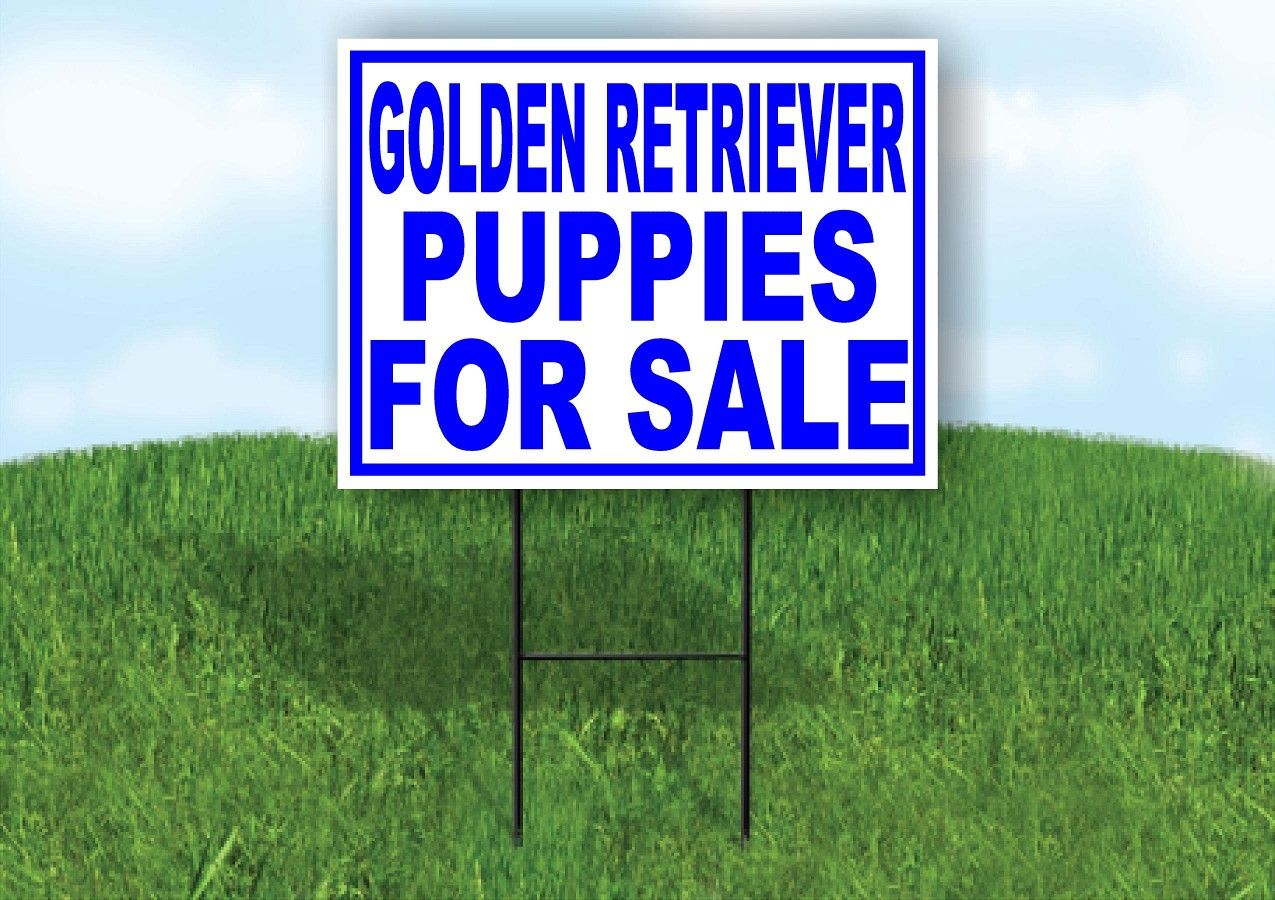 Message For More Info