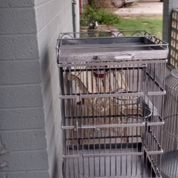 Round Bird Cage 