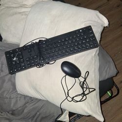 Mouse And A Keyboard 