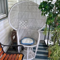 Peacock Chair