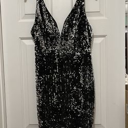 Everly Party Dress  Size L 