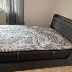 Queen Bed With Sealy Posturepedic  Mattress