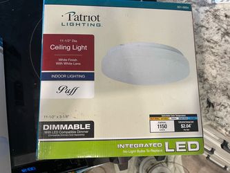 Patriot Lighting Puff LED Ceiling Light