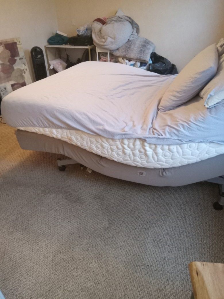 Bob's Temperpedic  Electric Boxframe