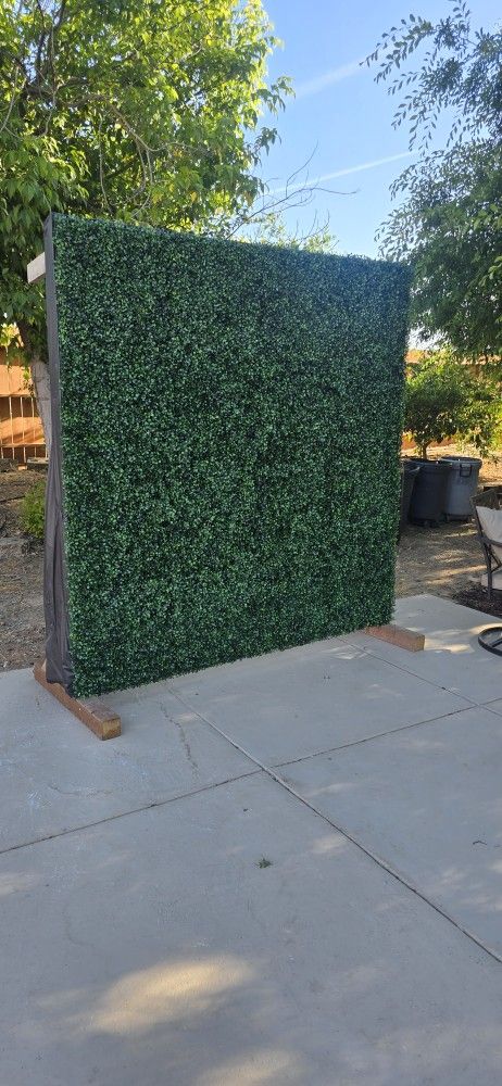Green Backdrop For Photo