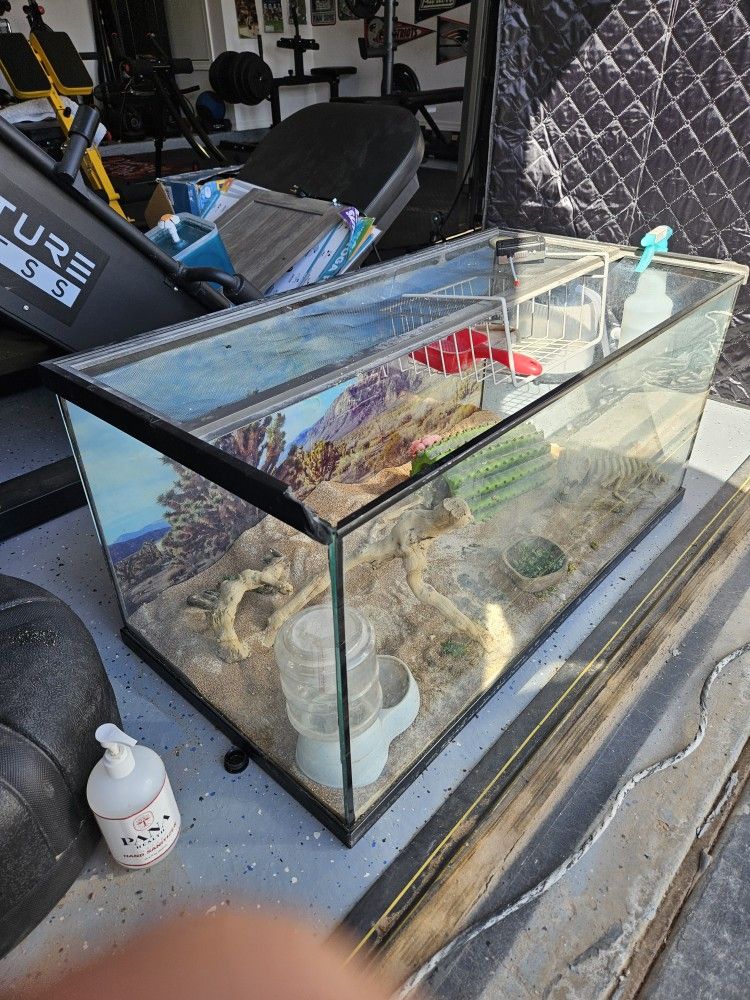 Reptilian/ Turtle/ Snake Tank Etc