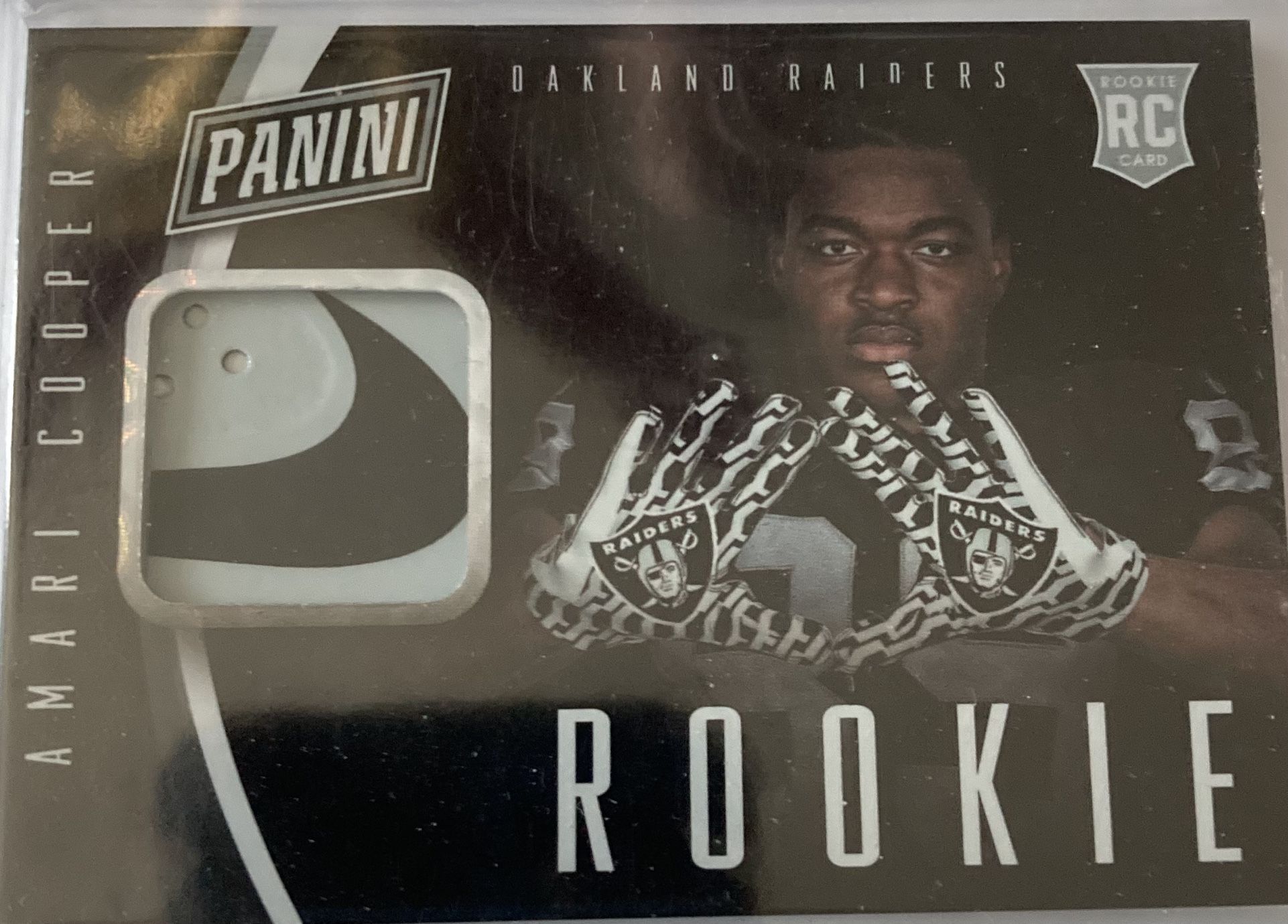 Panini