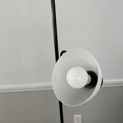 2 Light Lamp about 6 ft.