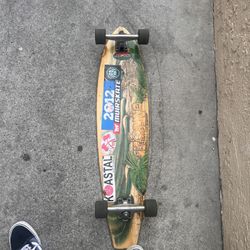 Longboard Skateboard Rides Smooth 