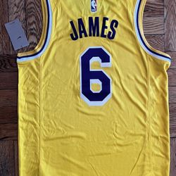 Lebron James Lakers Swingman Jersey 22-23