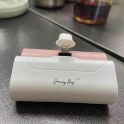 Journey Bug Pocket Power Bank And Magnetic Power Pack