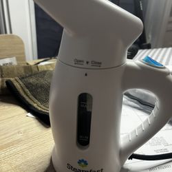 Travel Steam Iron 