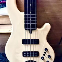Lakland Skyline 55-01 5-String Bass – Nordstrand Pickups & Preamp Upgraded