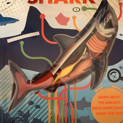 Uncover A Shark
