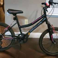 Kobra BCA Mountain Bike