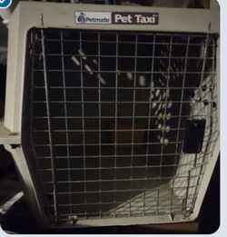 Medium Pet Taxi