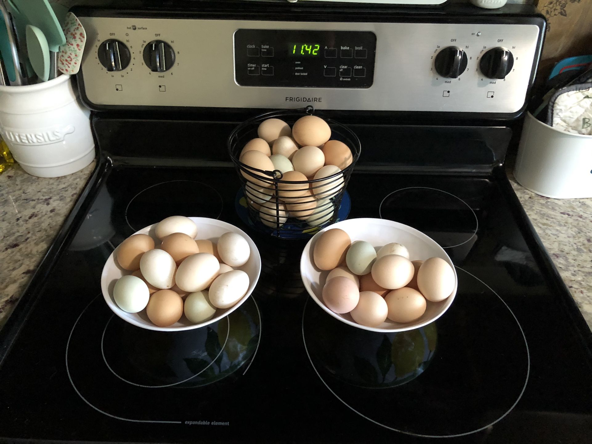 Fresh Eggs