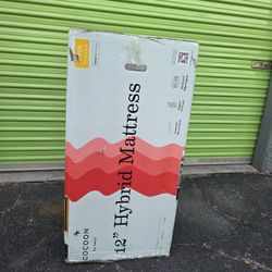 12inch Twin 