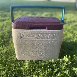 Coleman’s Small Lockable Portable Cooler 